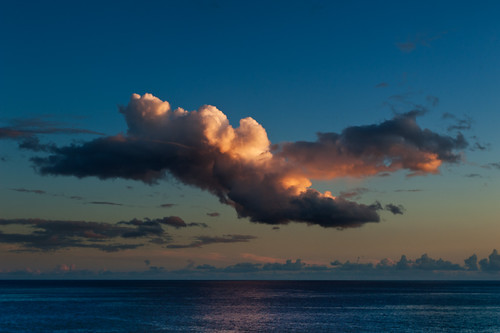 ocean sunset sea sky cloud bird portugal clouds amazing dusk shape madeira funchal
