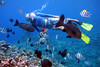 Vanuatu Scuba Diving