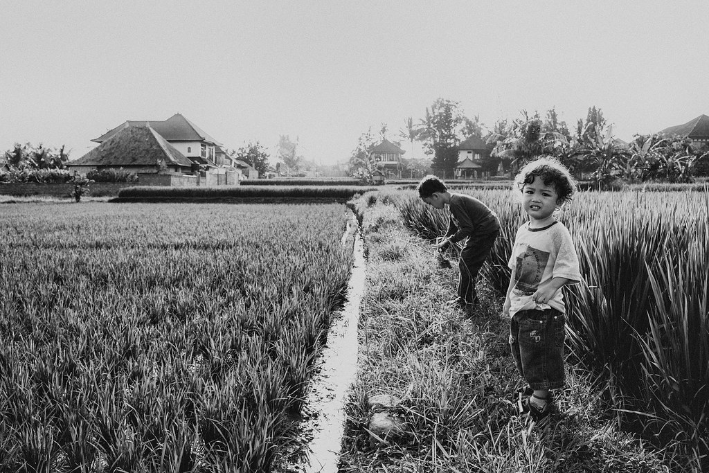 Family Photography | Penestanan Rice Field | Ubud | Bali | Indonesia