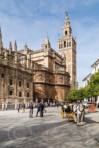 27371266960 2ff77c1388 - Seville Jan 2016 (12) 292 - Around and about the Cathedral