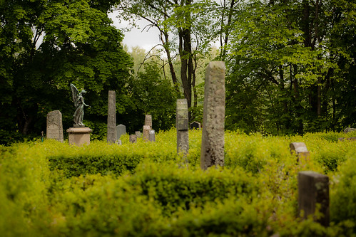 graveyard angel headstone tombstone manga hedge gravestone churchyard fotosondag fs120610
