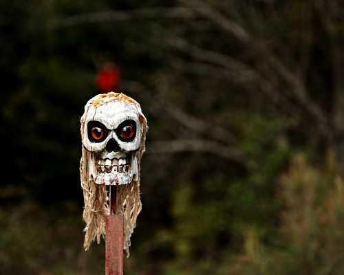 skull louisiana dof bokeh totem voodoo grisgris hcs clichesaturday happyclichesaturday