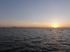 Tampa at sunrise