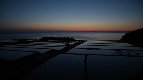 field japan sunrise kyoto 京都 seashore 海 日の出 田園 日本海 新井 丹後 伊根 棚田