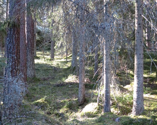 nature walking sweden culture biking sund vimmerby oppad småland lidhem frö̈dingesocken hultserum