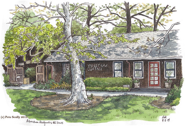 valley oak cottage