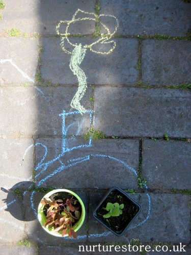 kids gardening activities chalk