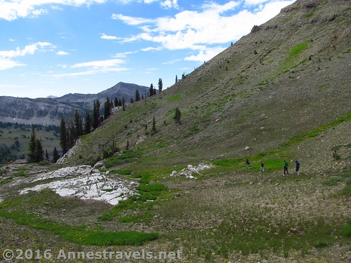 Descending the southern side of the pass above Darby Canyon, Jedediah Smith Wilderness near Grand Teton National Park, Wyoming