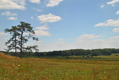 atlanta station georgia farm battle wheeler nash campaign cavalry lovejoy kilpatrick