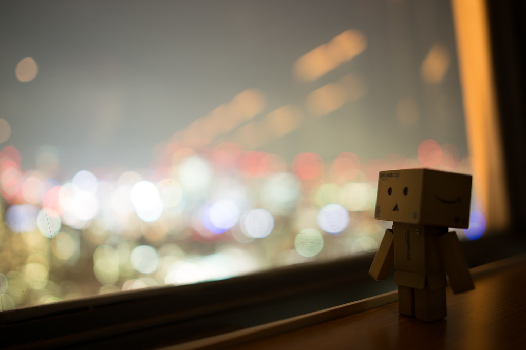Danbo enjoying the view from Tokyo Tower