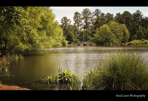 bridge trees lake tree water canon