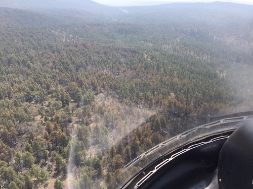 arizona forest flagstaff restoration wildfire flagstaffaz managedfire managedwildfire mormonfire