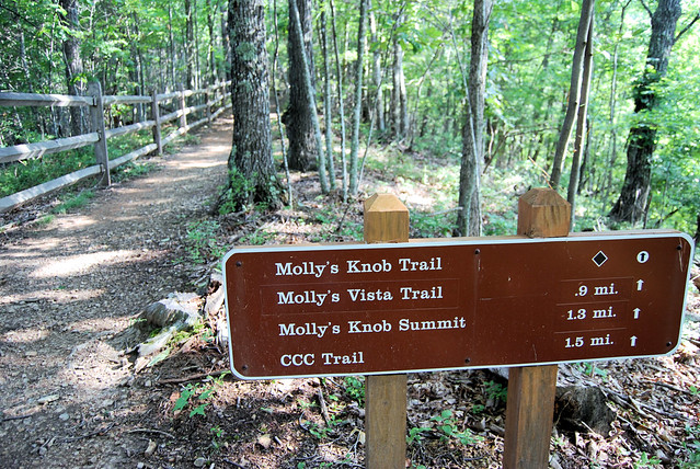 Hungry Mother State Park in Virginia has over 17 miles of trails