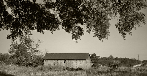 rural texas tx labahia darksoul cameraeye prescottesmall txcameraguy