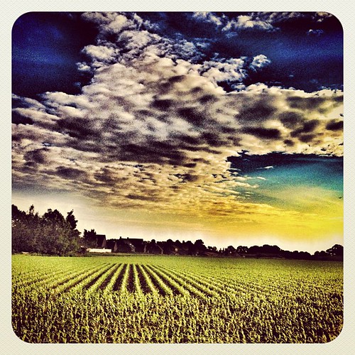 square squareformat earlybird iphoneography instagramapp uploaded:by=instagram