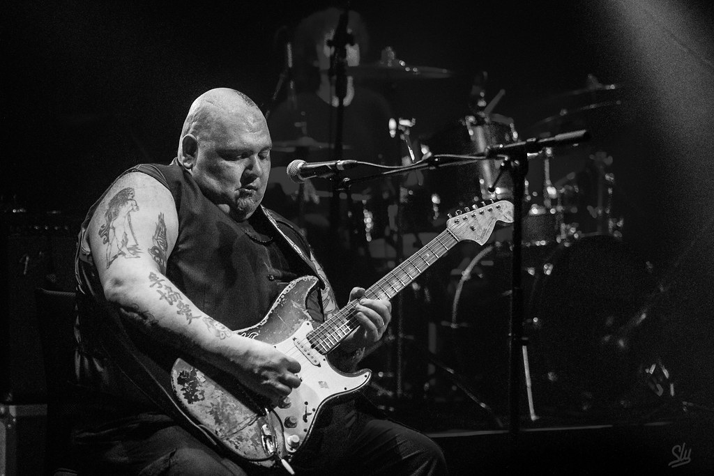 Popa Chubby sit and alive
