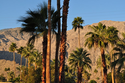 mountains nature sunrise hills trees indiancanyons palmsprings park palmtrees peaceful hike hiking desert mostinteresting mostinterestingvol1 california ca