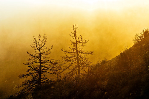 orange sun mist tree nature clouds canon outdoors fire hiking southerncalifornia sangabrielmountains angelesnationalforest angelescresthighway mountsally