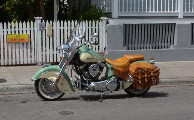 Harley in Key West