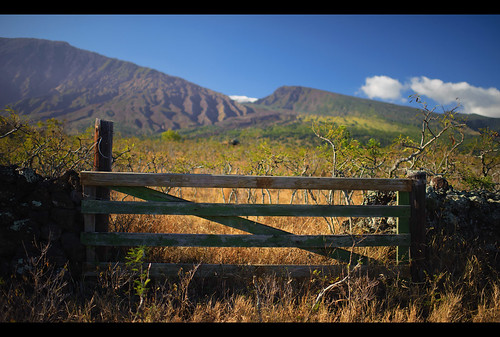 mountain fence hawaii nikon highway view country scenic maui haleakala southside backside kipahulu piilani d700 35mmf14g becauseihavenoidea theroadpasthana letsjustpretendthatswherethispicturewastaken