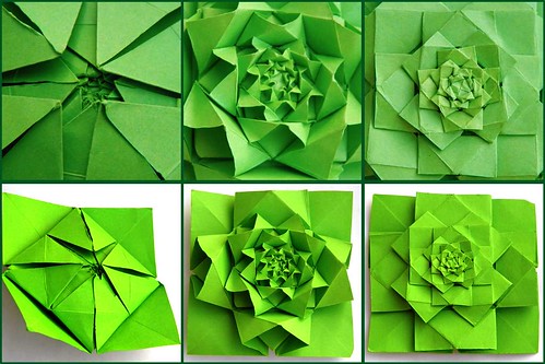 green collage origami fractal lawson closeview denverlawson