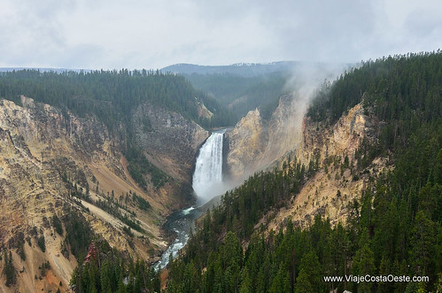VIAJE COSTA OESTE EE.UU. - Blogs de USA - Yellowstone - Zona Norte (10)