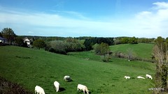Farm & Fields - Photo of Saint-Aubin-le-Monial