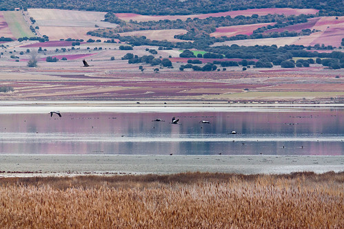 landscape countryside spain crane lagoon zaragoza aragon gallocanta 450d 55250is bestcapturesaoi