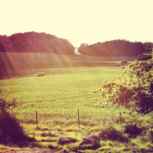 summer nature square view toaster squareformat östergötland iphoneography instagramapp uploaded:by=instagram foursquare:venue=4e6a36c1b993d5439f1efaa6