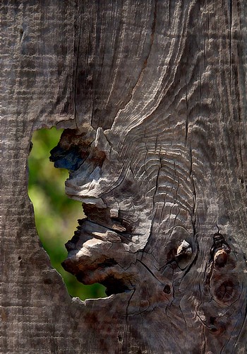 wood green fence hole gray grain knot peek sanjuanbautista textureview