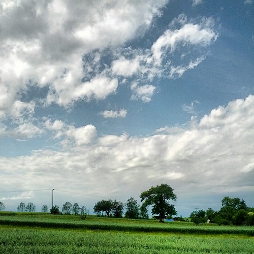 sky clouds germany deutschland dorf village himmel wolken seena sachsenanhalt instagram samsunggalaxynexus