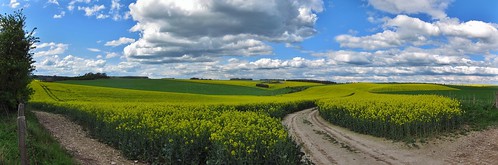 uk blue windows england sky green rain yellow clouds canon countryside gallery sheep stitch live hampshire hills stopped rapeseed s95