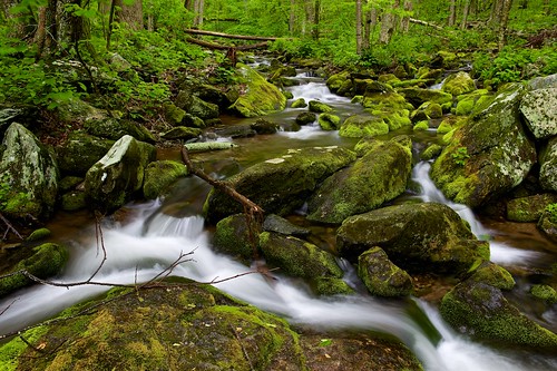 nature landscape outdoors virginia landscapes spring nikon day outdoor d800 shenandoahnationalpark afsnikkor2470mmf28ged afszoomnikkor2470mmf28ged photocontesttnc12