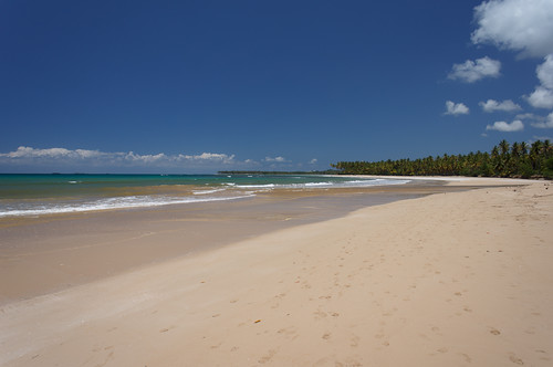 beach strand playa lasterrenas karibik samaná dominikanischerepublik nordamerika playacosón
