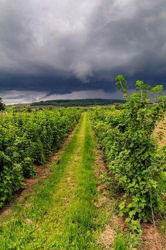 outdoor landscape plant field grass sky storm france alsace canon 80d clouds green walk weather nature