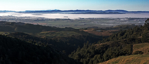 morning newzealand panorama mountains fog rural canon landscape foggy farmland hills pasture waikato bombayhills 550d seaoffog foggymountains t2i ruralnewzealand canoneos550d scavengerhuntergatherer shg52