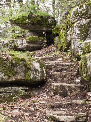 rock creek garden moss spring steps trail sylamore