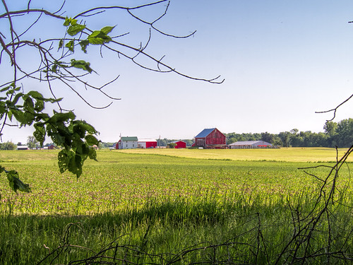 usa nature ecology field barn rural landscape geotagged outdoors landscapes spring seasons farm country meadows indiana olympus scene environment biodiversity wolflake noblecounty primelens davidcornwell merryleacenterofgoshencollege olympuspenepl2 olympusmzuiko12mmf20 shewmeadows