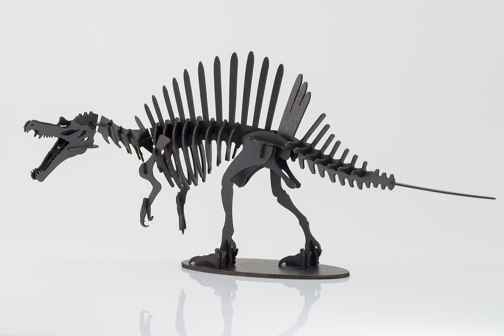 Spinosaurus IMGP0640p2