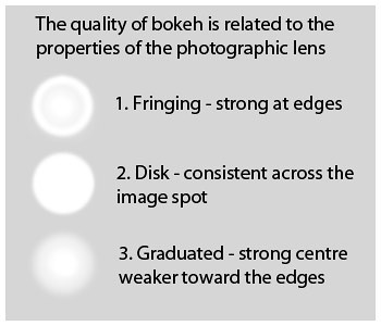 Bokeh characteristics vary. Here generalizations are shown, but bokeh circles are rarely as well defined as this.