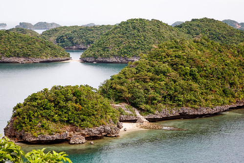 trees sea water philippines pangasinan hundredislandsnationalpark