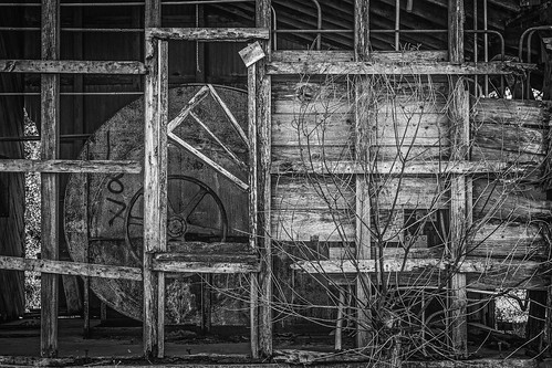 wood old blackandwhite bw tree abandoned monochrome dead us blackwhite bush industrial texas unitedstates silo frame derelict pulley lissie ricedryer