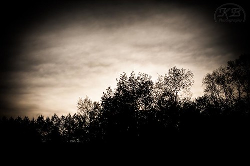 trees sunset sky white black weather silhouette clouds dark landscape evening spring woods flickr bright cloudy mysterious glowing vignette facebook