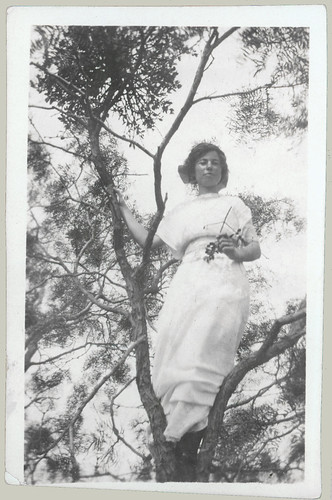 Girl in a tree