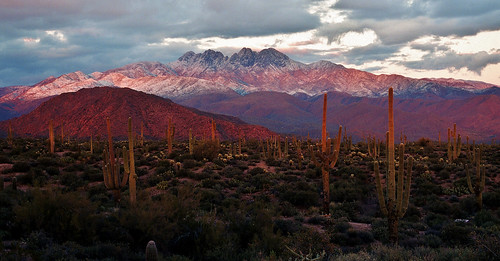 sunset arizona snow mamiya phoenix four evening desert dusk epson medium format 100 peaks saguaro sonoran 80mm ektar v500 m645