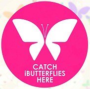 'Catch iButterflies Here' Marker