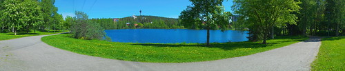 trees summer panorama finland landscape pond fi kuopio