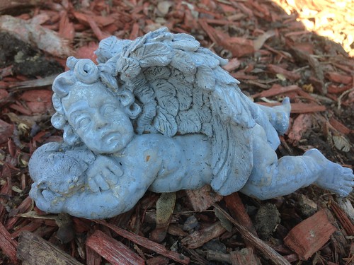 Found in the Melting Snow: A Weird Angel