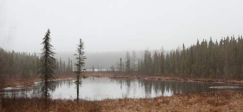 winter mist snow ontario cold ice fog landscape moody pines northernontario