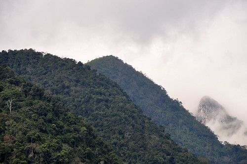 trees mountain nature fog clouds landscape southeastasia jungle laos muangngoi laopdr nikond90 colingrubbs theliftingveil